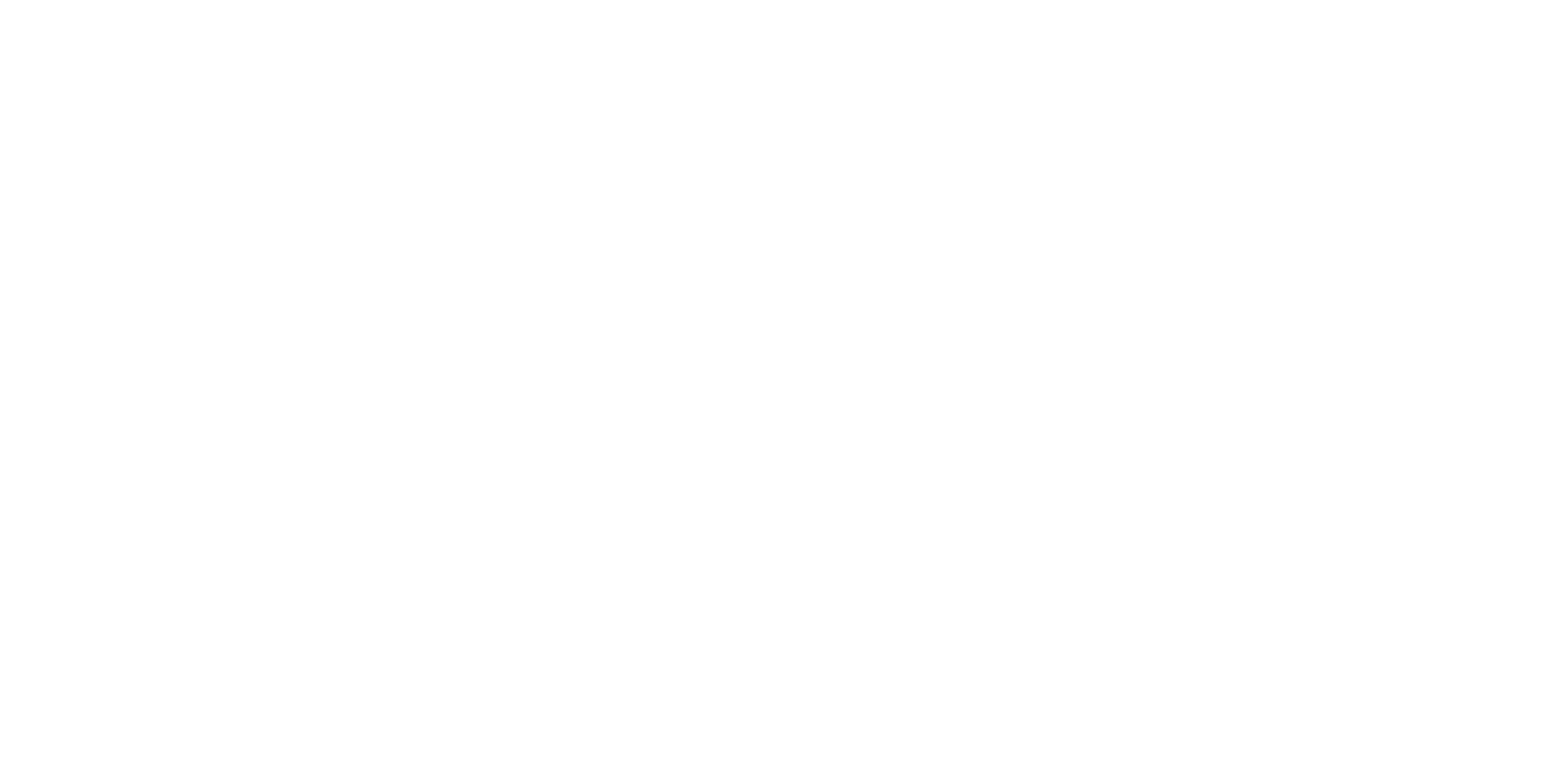 checkpoint Logo