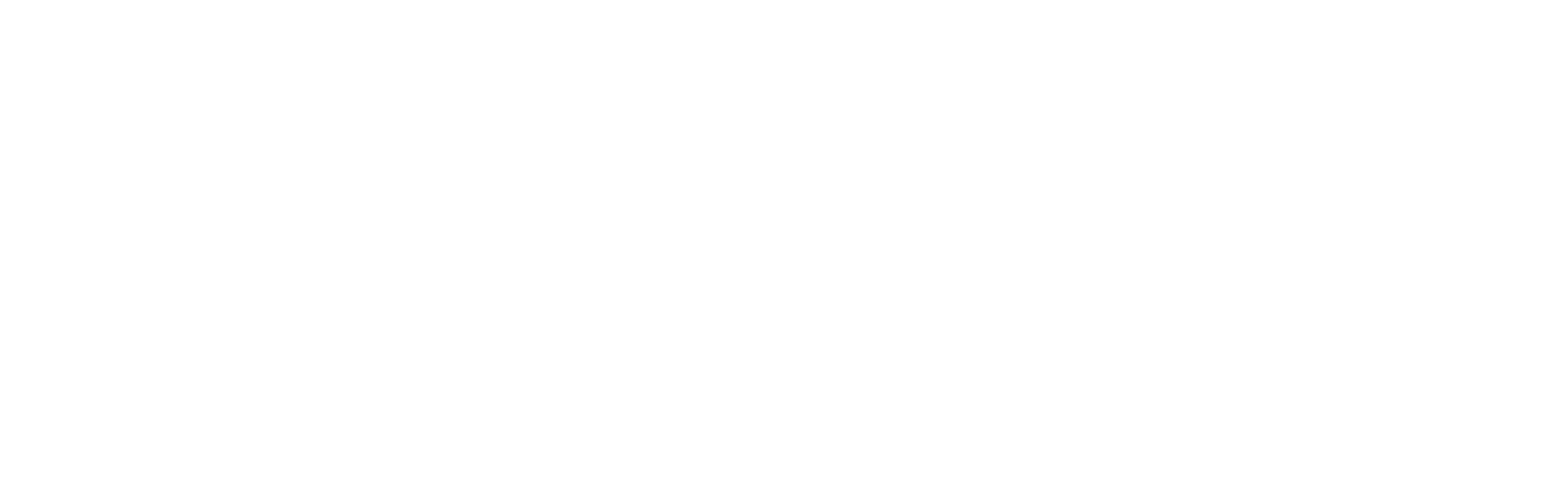 Shadowfax Logo